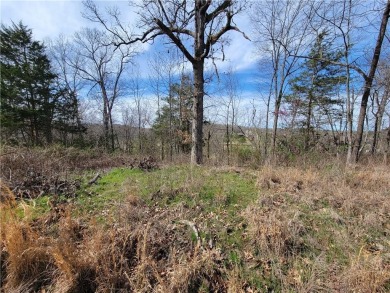 This lot adjoins two other lots on Scalloway that are listed by on Bella Vista Country Club - Scottsdale in Arkansas - for sale on GolfHomes.com, golf home, golf lot