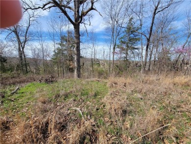 This lot adjoins two other lots on Scalloway that are listed by on Bella Vista Country Club - Scottsdale in Arkansas - for sale on GolfHomes.com, golf home, golf lot