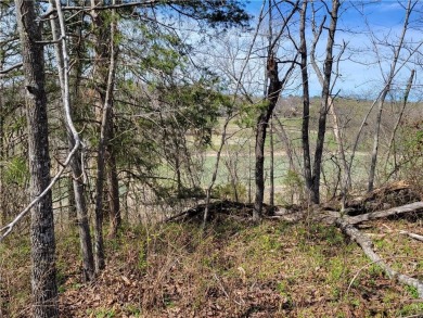 This lot adjoins two other lots on Scalloway that are listed by on Bella Vista Country Club - Scottsdale in Arkansas - for sale on GolfHomes.com, golf home, golf lot