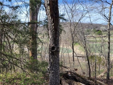 This lot adjoins two other lots on Scalloway that are listed by on Bella Vista Country Club - Scottsdale in Arkansas - for sale on GolfHomes.com, golf home, golf lot