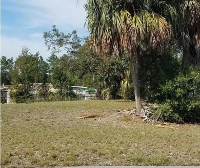 Cleared high and dry 70 x 100 lot has already been cleared and on Brookridge Country Club in Florida - for sale on GolfHomes.com, golf home, golf lot