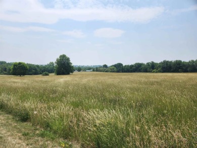 3.36-acre ranchette lot offers the perfect setting to build your on Lake Carroll Golf Course in Illinois - for sale on GolfHomes.com, golf home, golf lot