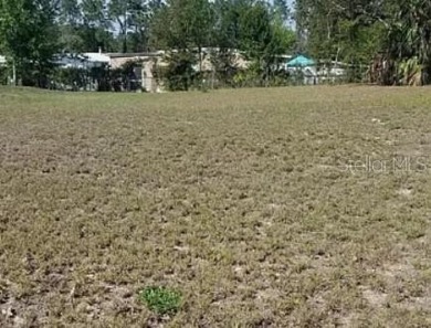 Cleared high and dry 70 x 100 lot has already been cleared and on Brookridge Country Club in Florida - for sale on GolfHomes.com, golf home, golf lot