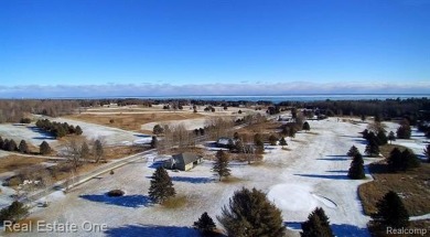 Custom Craftsman 1 1/2 Story home in a picturesque setting on on Springport Hills Golf Course in Michigan - for sale on GolfHomes.com, golf home, golf lot