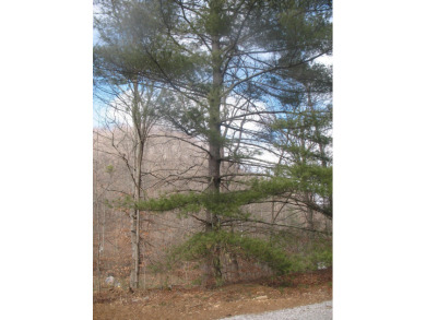 Great building lot with improvements. This is a wooded lot with on Big Hickory Golf Course in Kentucky - for sale on GolfHomes.com, golf home, golf lot