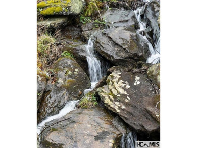 NEW HEAT PUMP and NEW ROOF - DEC 2025! Beautiful mountain home on Sky Valley Resort and Country Club in Georgia - for sale on GolfHomes.com, golf home, golf lot