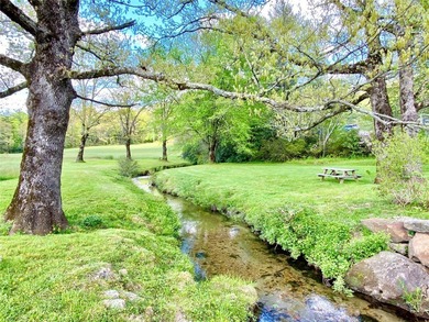 Between two mountain ridges lies a broad grassy meadow where on Headwaters Golf Club in North Carolina - for sale on GolfHomes.com, golf home, golf lot