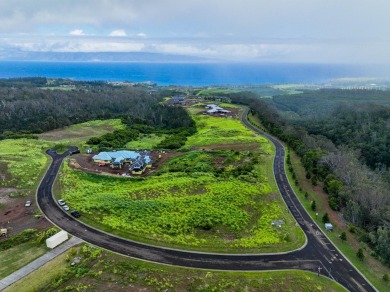 Seize the opportunity to build your dream home in the on Kapalua Golf Club - Plantation Course in Hawaii - for sale on GolfHomes.com, golf home, golf lot