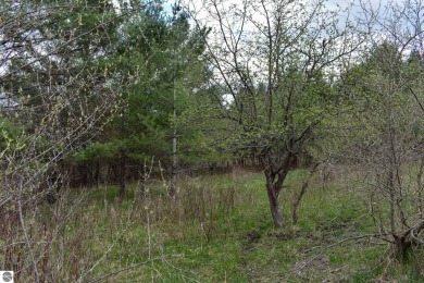 This is am unbelievable piece of property.  The portion by on The Chief Golf Course in Michigan - for sale on GolfHomes.com, golf home, golf lot