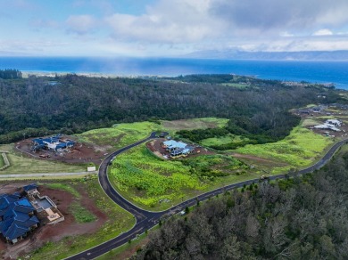 Seize the opportunity to build your dream home in the on Kapalua Golf Club - Plantation Course in Hawaii - for sale on GolfHomes.com, golf home, golf lot