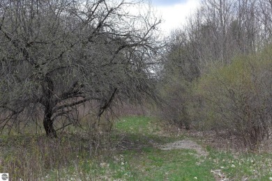 This is am unbelievable piece of property.  The portion by on The Chief Golf Course in Michigan - for sale on GolfHomes.com, golf home, golf lot