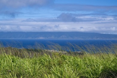 Seize the opportunity to build your dream home in the on Kapalua Golf Club - Plantation Course in Hawaii - for sale on GolfHomes.com, golf home, golf lot