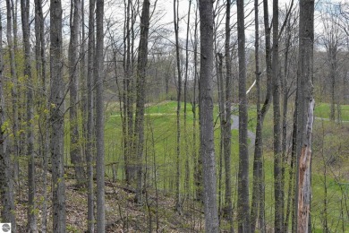 This is am unbelievable piece of property.  The portion by on The Chief Golf Course in Michigan - for sale on GolfHomes.com, golf home, golf lot