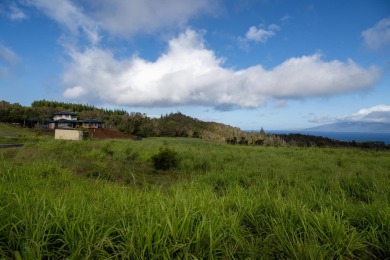 Seize the opportunity to build your dream home in the on Kapalua Golf Club - Plantation Course in Hawaii - for sale on GolfHomes.com, golf home, golf lot