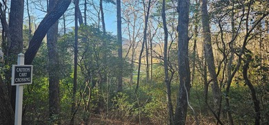 Fabulous 15th Fairway Golf Course lot with stunning views of the on Lake Toxaway Country Club in North Carolina - for sale on GolfHomes.com, golf home, golf lot