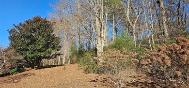 Fabulous 15th Fairway Golf Course lot with stunning views of the on Lake Toxaway Country Club in North Carolina - for sale on GolfHomes.com, golf home, golf lot