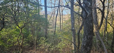 Fabulous 15th Fairway Golf Course lot with stunning views of the on Lake Toxaway Country Club in North Carolina - for sale on GolfHomes.com, golf home, golf lot