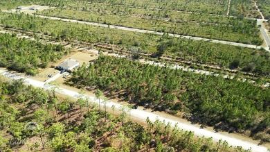 Build your dream home on this spacious 0.50-acre vacant lot on Indian Lake Estates Golf and Country Club in Florida - for sale on GolfHomes.com, golf home, golf lot