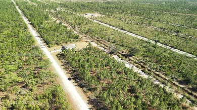 Build your dream home on this spacious 0.50-acre vacant lot on Indian Lake Estates Golf and Country Club in Florida - for sale on GolfHomes.com, golf home, golf lot