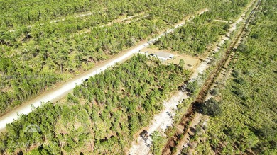 Build your dream home on this spacious 0.50-acre vacant lot on Indian Lake Estates Golf and Country Club in Florida - for sale on GolfHomes.com, golf home, golf lot