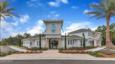 Located in beautiful Flagler County, Grand Reserve is a master on Grand Reserve Golf Course in Florida - for sale on GolfHomes.com, golf home, golf lot