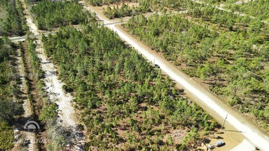 Build your dream home on this spacious 0.50-acre vacant lot on Indian Lake Estates Golf and Country Club in Florida - for sale on GolfHomes.com, golf home, golf lot