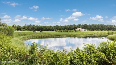 Located in beautiful Flagler County, Grand Reserve is a master on Grand Reserve Golf Course in Florida - for sale on GolfHomes.com, golf home, golf lot