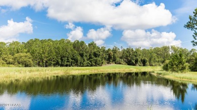 Located in beautiful Flagler County, Grand Reserve is a master on Grand Reserve Golf Course in Florida - for sale on GolfHomes.com, golf home, golf lot