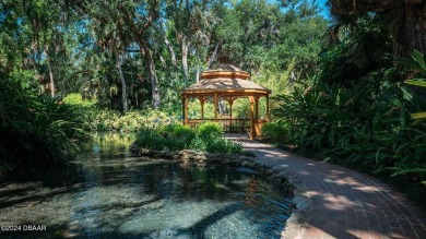 Located in beautiful Flagler County, Grand Reserve is a master on Grand Reserve Golf Course in Florida - for sale on GolfHomes.com, golf home, golf lot