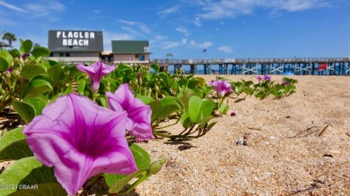 Located in beautiful Flagler County, Grand Reserve is a master on Grand Reserve Golf Course in Florida - for sale on GolfHomes.com, golf home, golf lot