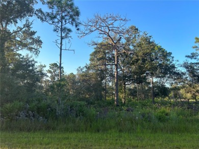 Picture your dream home on this charming corner lot in the on Indian Lake Estates Golf and Country Club in Florida - for sale on GolfHomes.com, golf home, golf lot