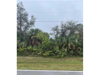This prime vacant lot is nestled in the peaceful and growing on Rotonda Golf and Country Club The Palms Course in Florida - for sale on GolfHomes.com, golf home, golf lot
