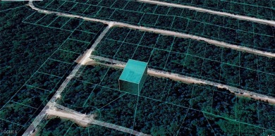 Fantastic opportunity to own a 10,018 sq ft vacant lot in the on Citrus Springs Country Club in Florida - for sale on GolfHomes.com, golf home, golf lot