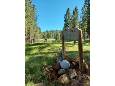 ?? MLS #20250226 | 1387 Eagle Feather, Lot 397, Nakoma Resort on Nakoma Golf Resort in California - for sale on GolfHomes.com, golf home, golf lot