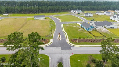 New construction ready to move in!! Welcome home to this on Carolina Colours Golf Club in North Carolina - for sale on GolfHomes.com, golf home, golf lot