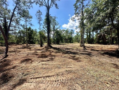 RARE OPPORTUNITY TRIPLE LOT(2 SEPARATE PARCELS 0.7 ACRES) in on Sabal Trace Golf and Country Club in Florida - for sale on GolfHomes.com, golf home, golf lot