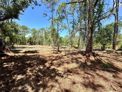 RARE OPPORTUNITY TRIPLE LOT(2 SEPARATE PARCELS 0.7 ACRES) in on Sabal Trace Golf and Country Club in Florida - for sale on GolfHomes.com, golf home, golf lot