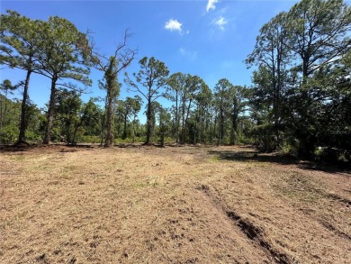 RARE OPPORTUNITY TRIPLE LOT(2 SEPARATE PARCELS 0.7 ACRES) in on Sabal Trace Golf and Country Club in Florida - for sale on GolfHomes.com, golf home, golf lot