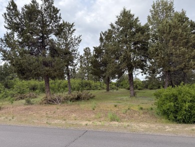Gorgeous south facing panoramic mountain views from this 0.78 on Running Y Ranch Resort in Oregon - for sale on GolfHomes.com, golf home, golf lot