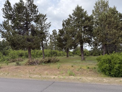 Gorgeous south facing panoramic mountain views from this 0.78 on Running Y Ranch Resort in Oregon - for sale on GolfHomes.com, golf home, golf lot
