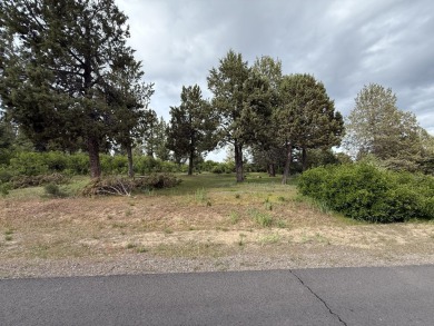 Gorgeous south facing panoramic mountain views from this 0.78 on Running Y Ranch Resort in Oregon - for sale on GolfHomes.com, golf home, golf lot