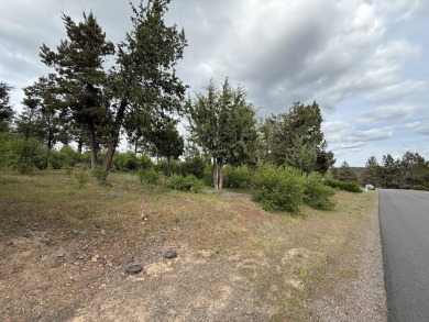 Gorgeous south facing panoramic mountain views from this 0.78 on Running Y Ranch Resort in Oregon - for sale on GolfHomes.com, golf home, golf lot