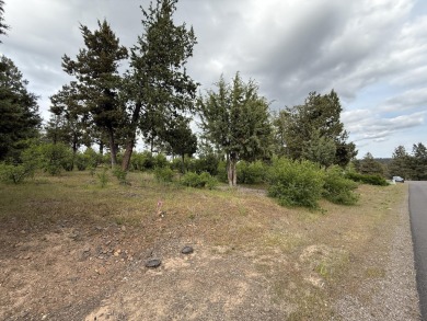 Gorgeous south facing panoramic mountain views from this 0.78 on Running Y Ranch Resort in Oregon - for sale on GolfHomes.com, golf home, golf lot