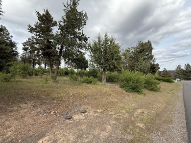 Gorgeous south facing panoramic mountain views from this 0.78 on Running Y Ranch Resort in Oregon - for sale on GolfHomes.com, golf home, golf lot