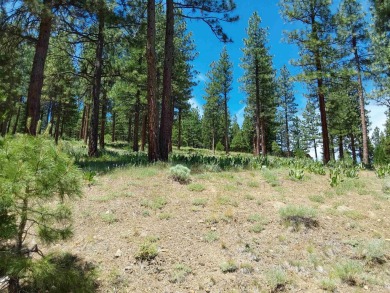 Price Reduced from a high of $95,000 to $50,000 to $35,000  This on Nakoma Golf Resort in California - for sale on GolfHomes.com, golf home, golf lot