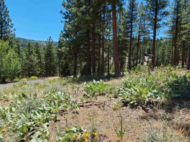 Price Reduced from a high of $95,000 to $50,000 to $35,000  This on Nakoma Golf Resort in California - for sale on GolfHomes.com, golf home, golf lot