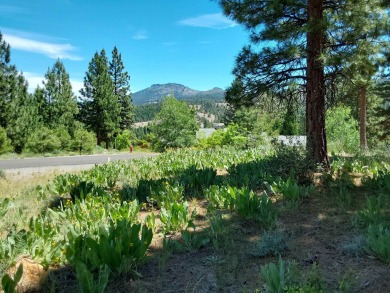 Price Reduced from a high of $95,000 to $50,000 to $35,000  This on Nakoma Golf Resort in California - for sale on GolfHomes.com, golf home, golf lot