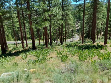 Price Reduced from a high of $95,000 to $50,000 to $35,000  This on Nakoma Golf Resort in California - for sale on GolfHomes.com, golf home, golf lot