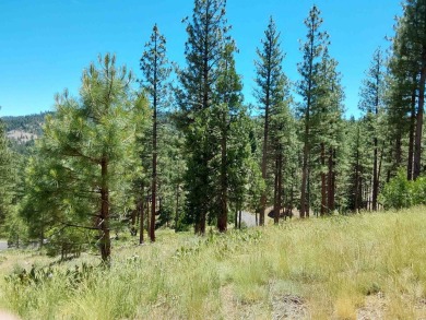 Price Reduced from a high of $95,000 to $50,000 to $35,000  This on Nakoma Golf Resort in California - for sale on GolfHomes.com, golf home, golf lot