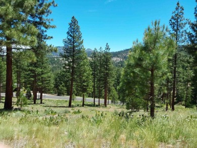 Price Reduced from a high of $95,000 to $50,000 to $35,000  This on Nakoma Golf Resort in California - for sale on GolfHomes.com, golf home, golf lot